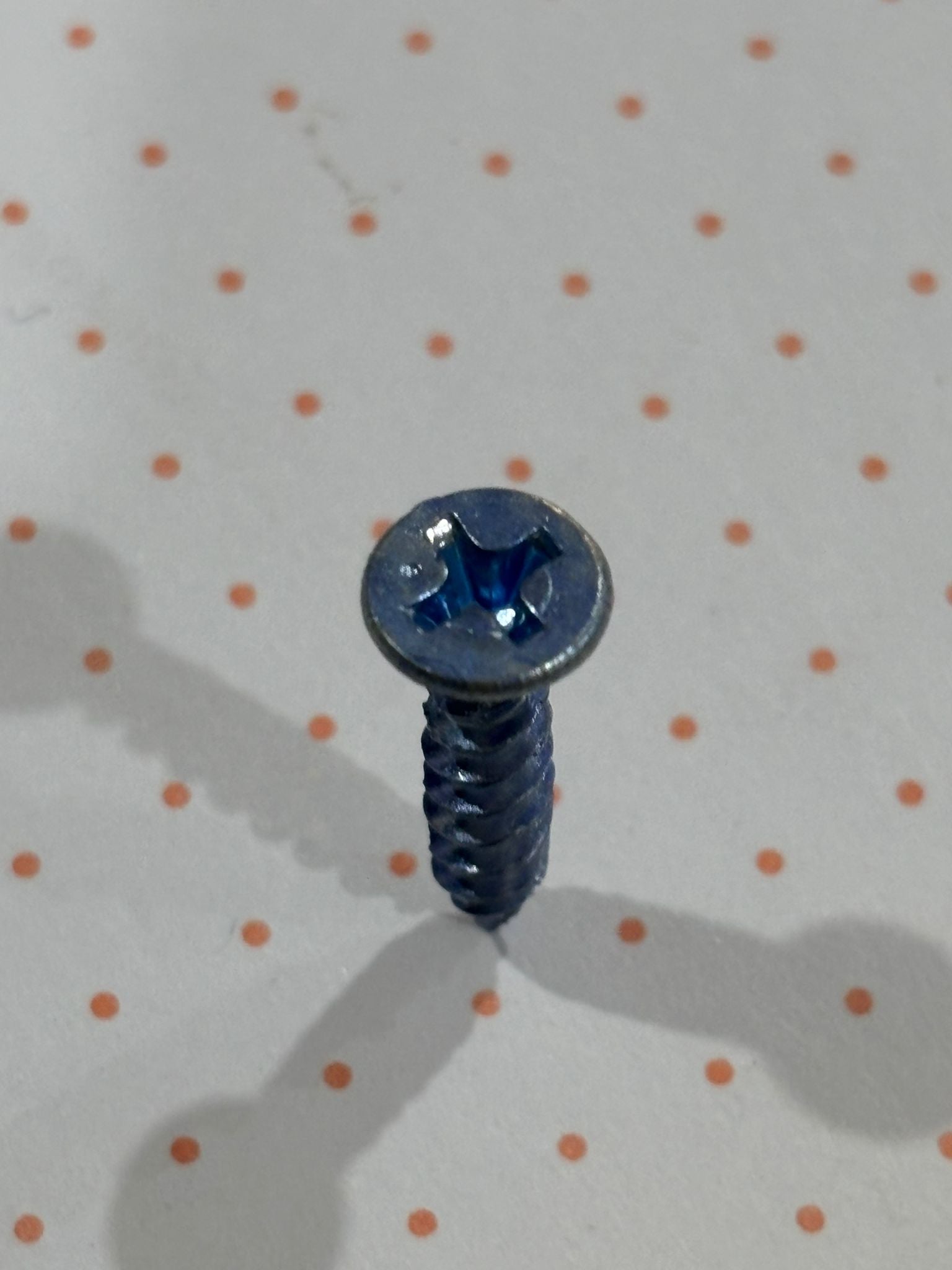 Pack of 50 Screws - Cladding Supplies Of Australia